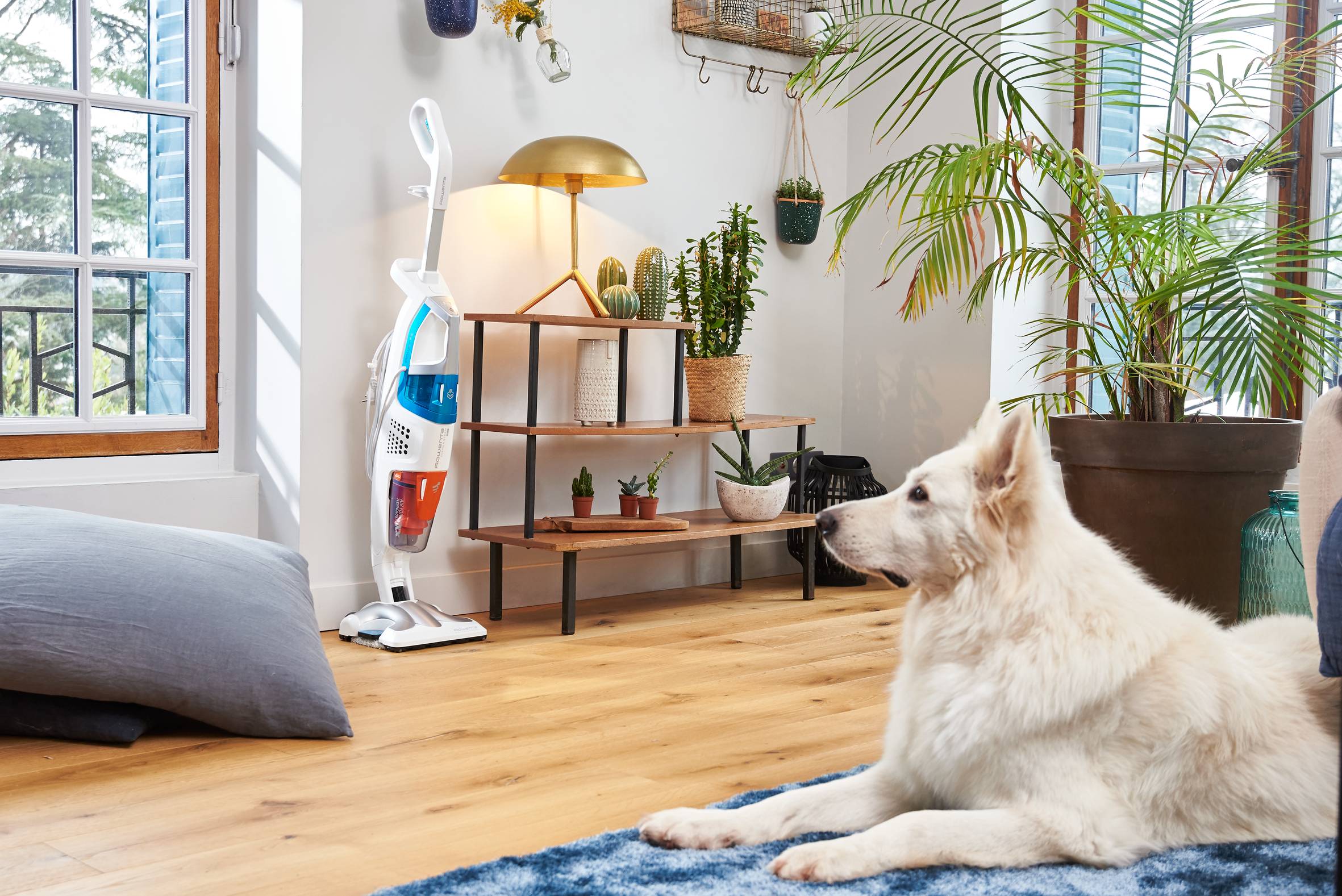 CLEAN & STEAM MULTI (RY8544)