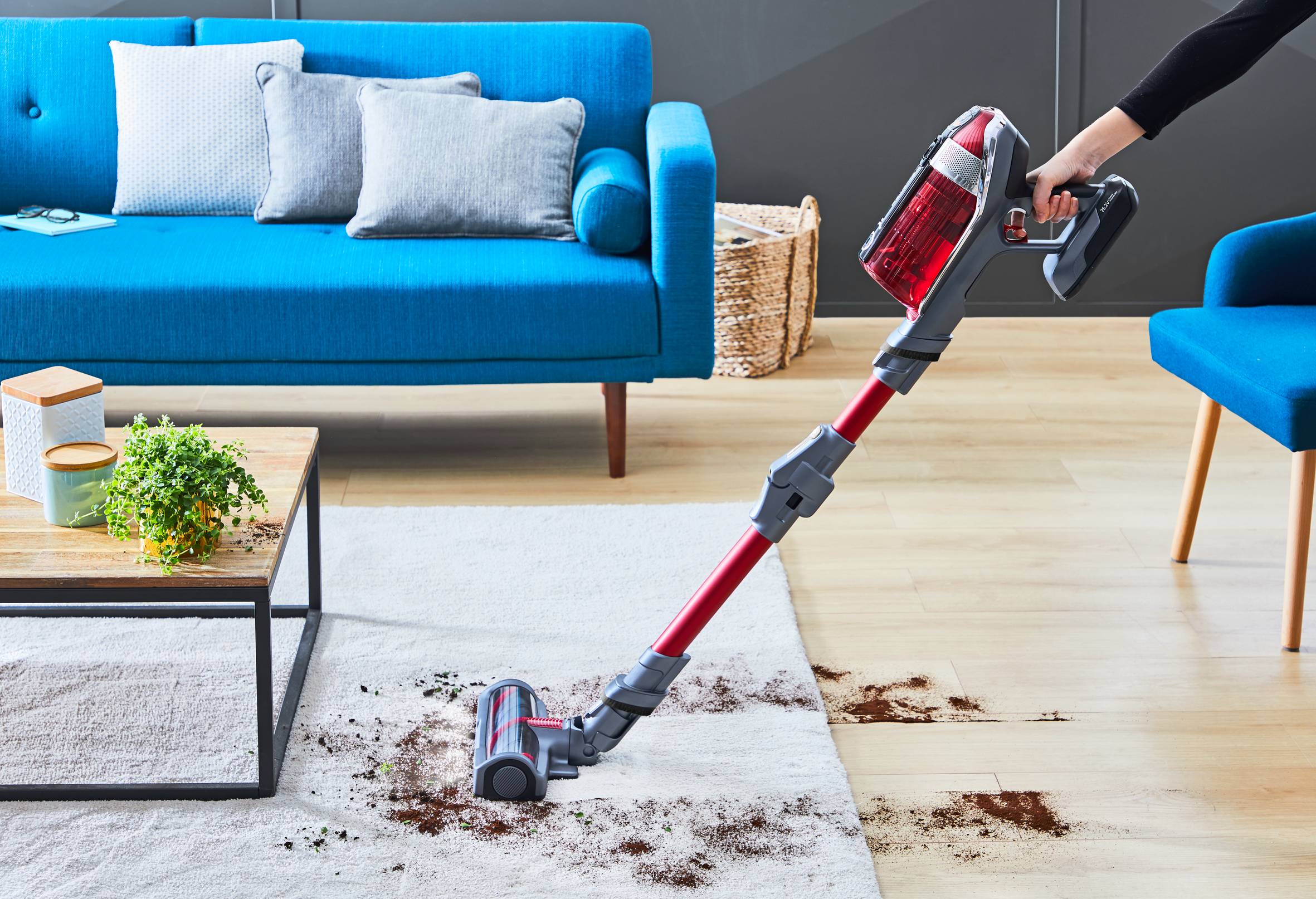 KABELLOSER AKKU-STAUBSAUGER X-FORCE 11.60 ANIMAL KIT MIT 2. AKKU