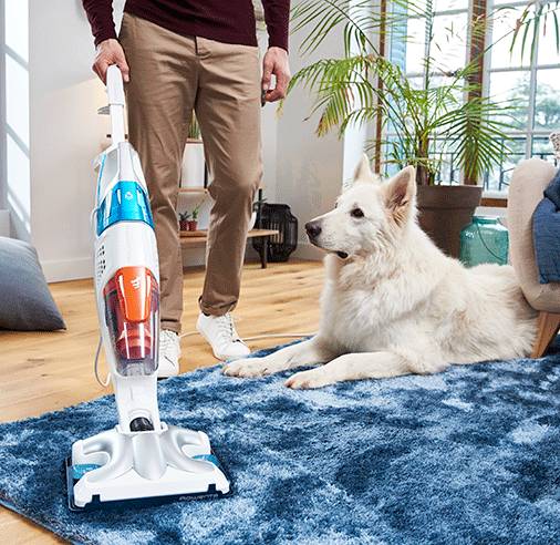 CLEAN & STEAM MULTI (RY8544)