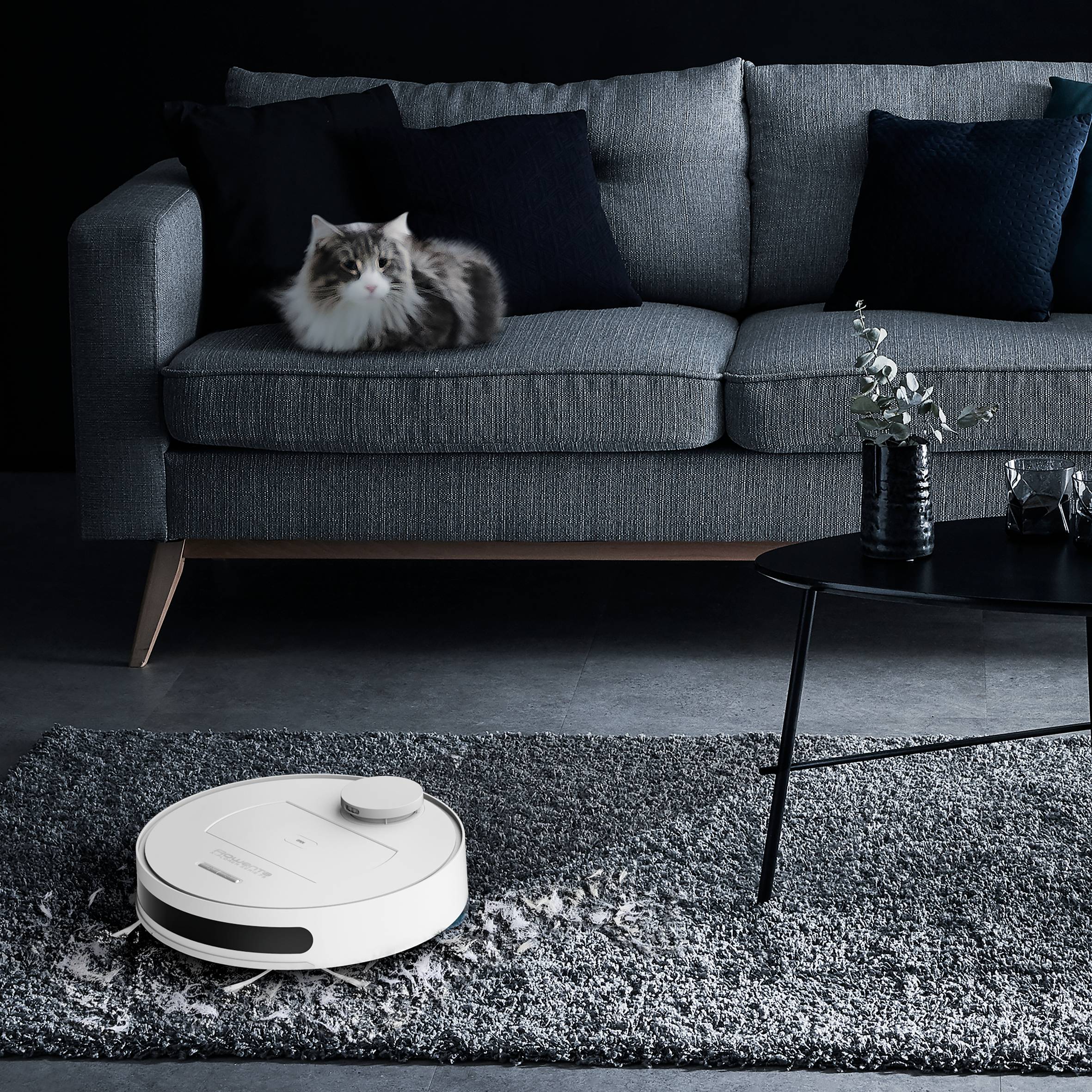 X-plorer Serie 75 Total Care Connect RR7687