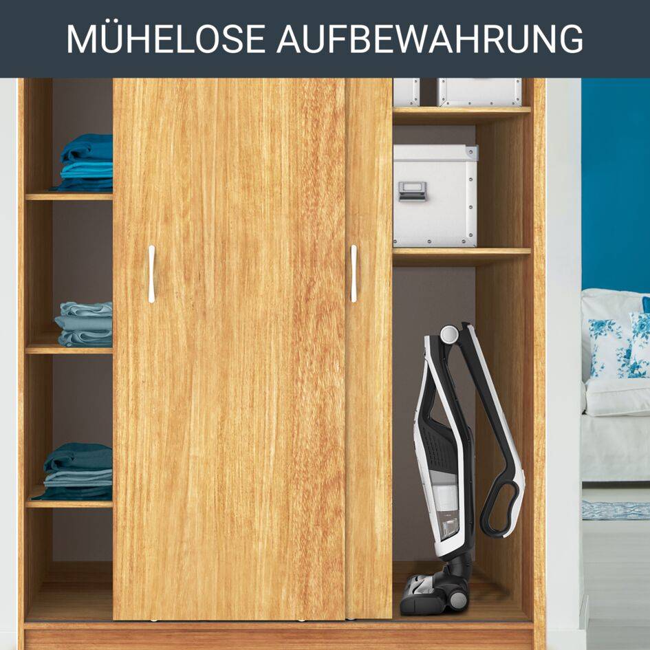 Dual Force 2-in-1 Akkustaubsauger RH6737