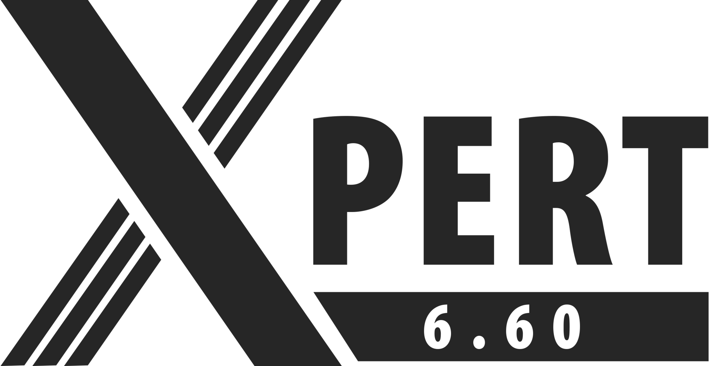 Zusatzakku zu Xpert 6.60 Akkusauger