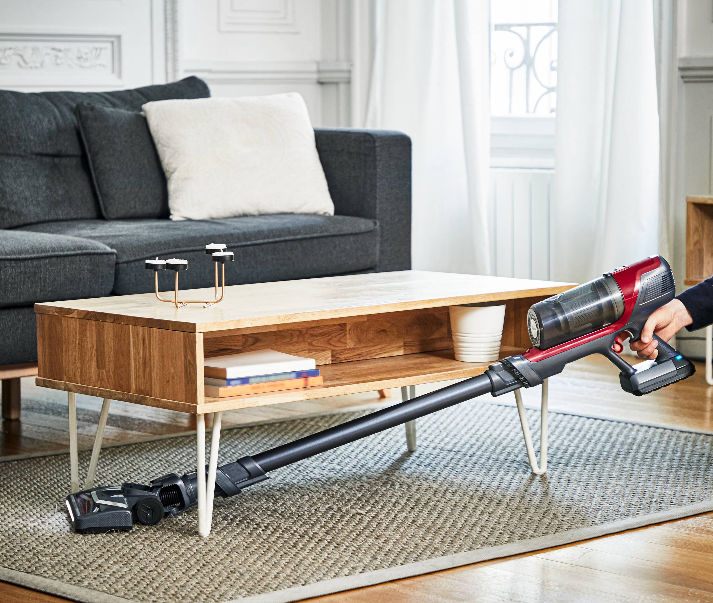 X-Pert 6.60 Animal Akkustaubsauger RH6878