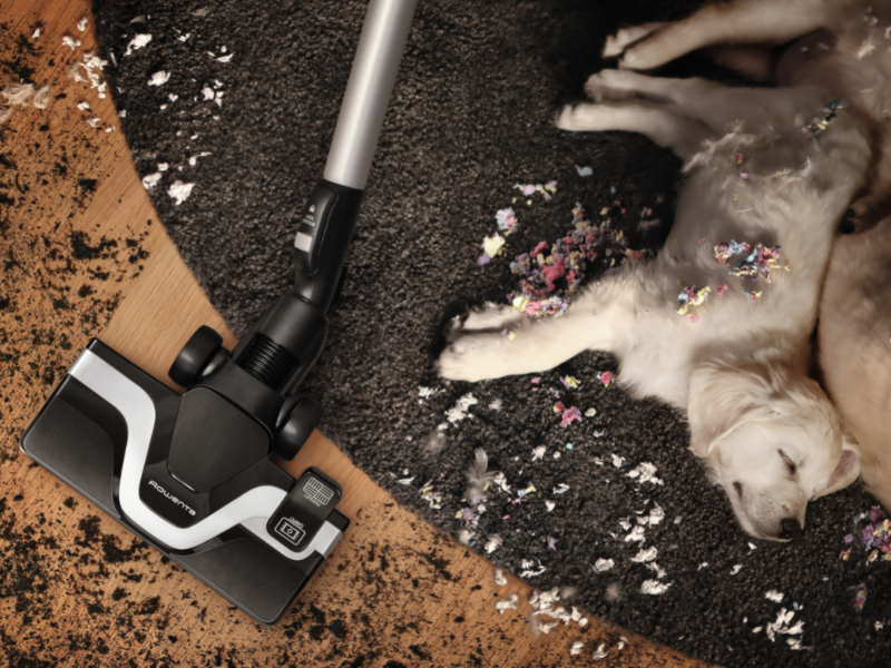 Silence Force Cyclonic Animal RO7690