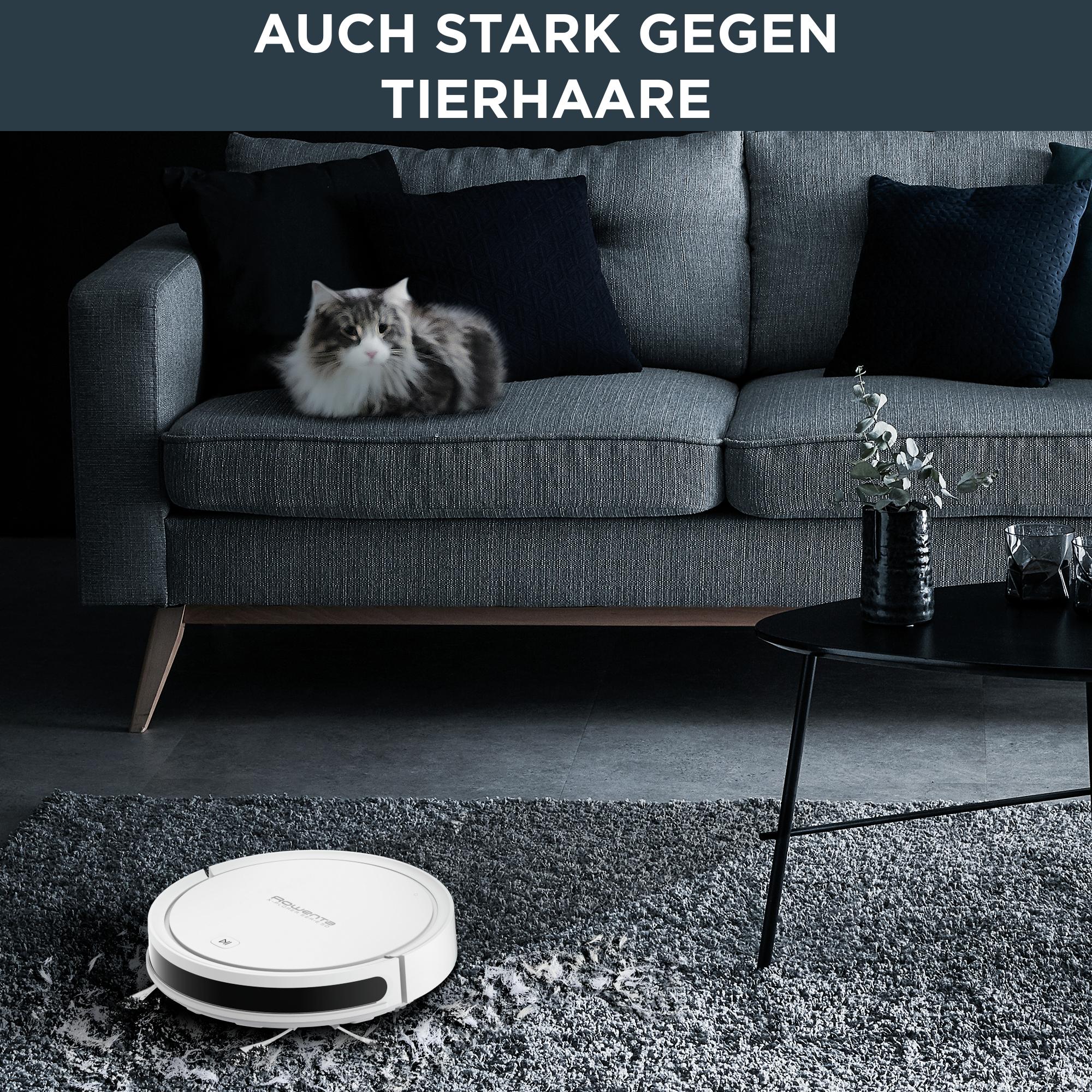 X-plorer Serie 50 RR7387