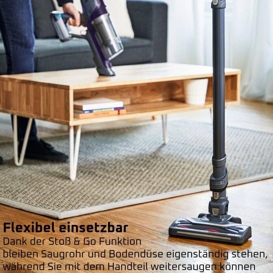 X-Pert 6.60 Essential Akkustaubsauger RH6838