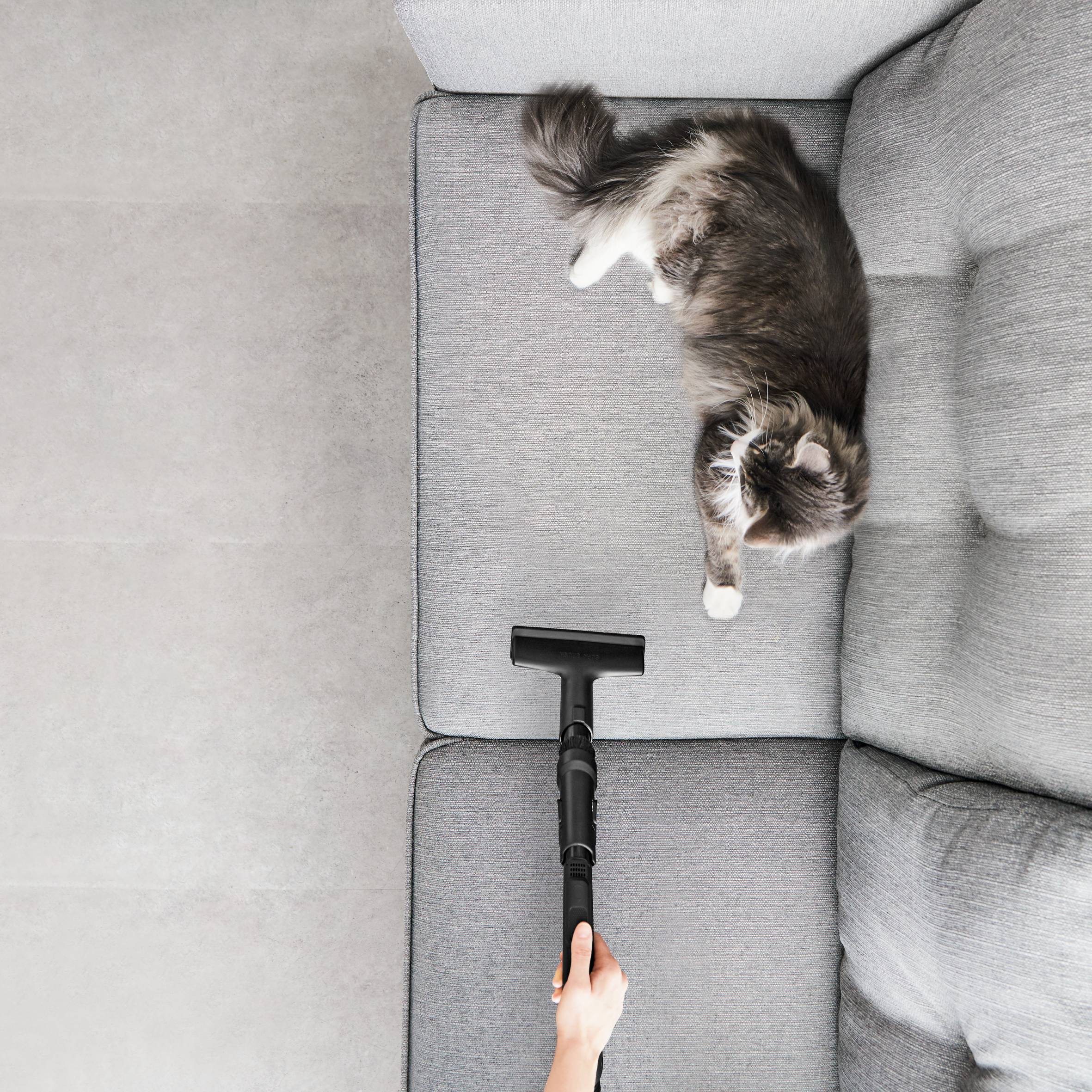 Silence Force Allergy+ RO7473