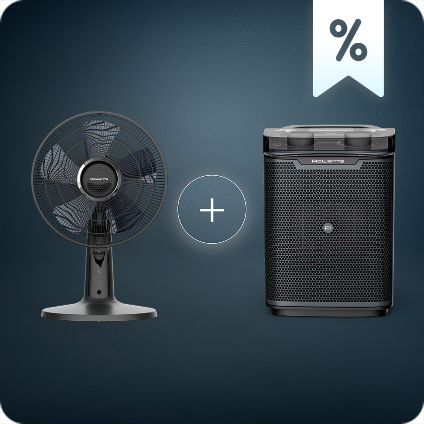 Klima-Duo für Sommer & Winter: Ventilator + Heizlüfter