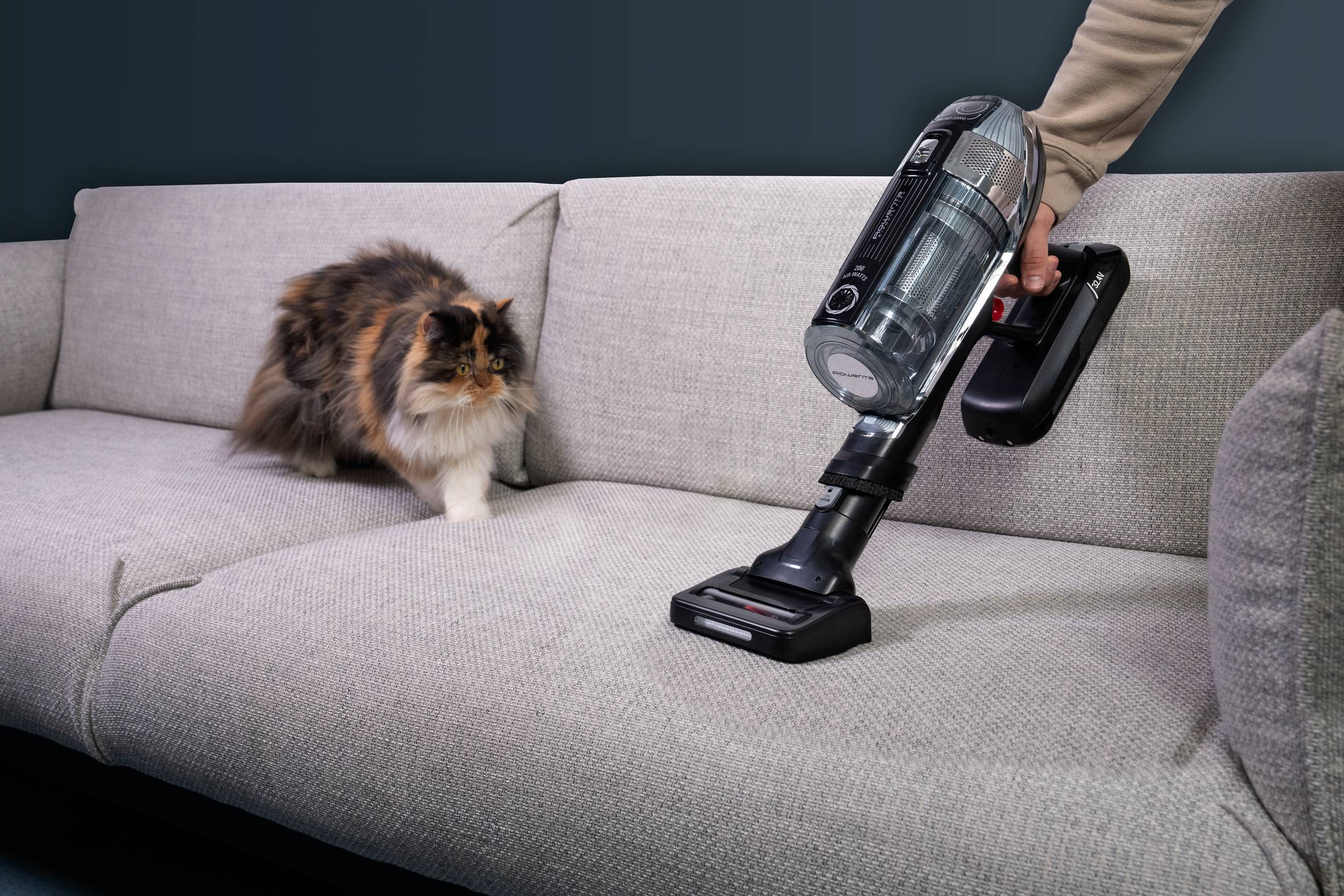 Staubsauger Tierhaare Katze Rowenta.png