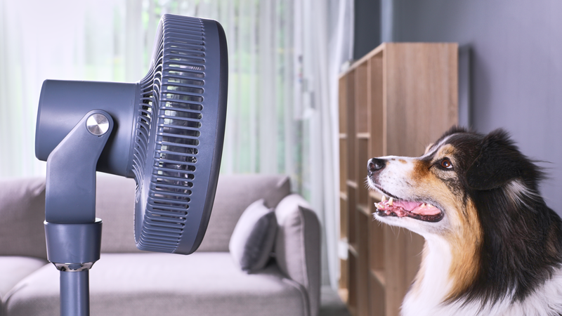 de-row-deat-hp-banner-ventilatoren.png